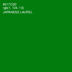 #017C0D - Japanese Laurel Color Image